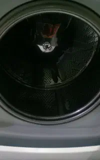 یخچال و ماشین لباسشویی