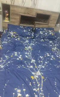 تخت دونفره همراه تشک و کمد واینه قیمت ۲۰میلیون