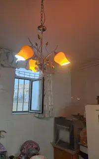 لوستر