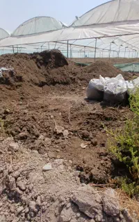 کود مرغ درجه یک