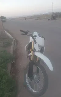 تریل بهرو