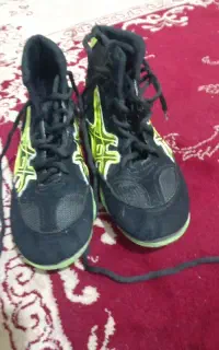 کفش کشتی