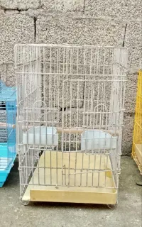 قفس پرنده