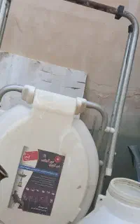 تولت فرنگی