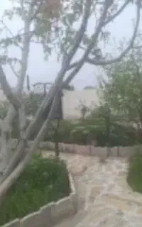 به یک خانوم جهت نظافت ویلا نیازمندیم