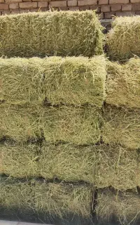 پرس یونجه درجه یک خشک
