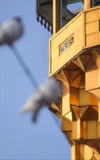 از زنجان تور مشهد ریلی ،پیش فروش نیمه دوم خرداد