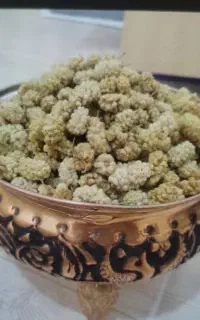 توت خشک روی تور خشک شده