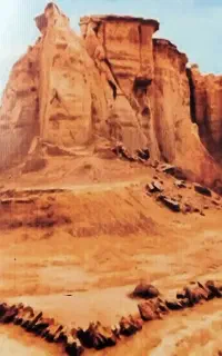 گشت جزیره راننده بومی