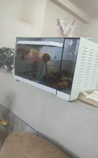 اون تستر دستیلور