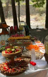 تور یک روزه شمال رودبار جنگلی با دیجی