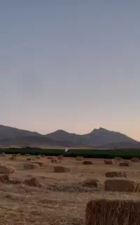 یونجه چین چهارم