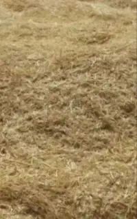 کاه گندم سرخوشه