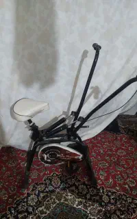 دوچرخه ثابت