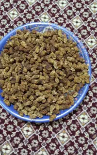 کشته ی توت