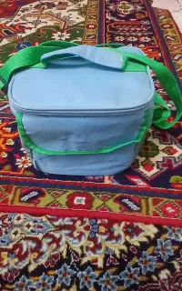 کیف غذا