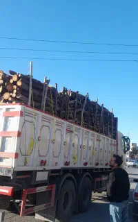انجام خدمات هرس و بریدن چوب باغی