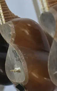 فروش ویژه تار و سه تار