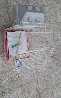 قفس پرنده