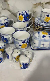 ظروف گل پنبه