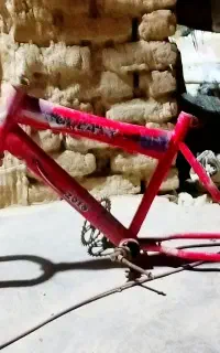 تنه دوچرخه ۱۶