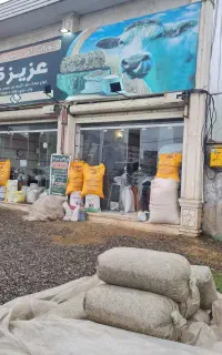 کارگر تخلیه