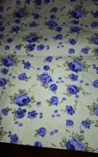 کیسه سبزی دو لایه