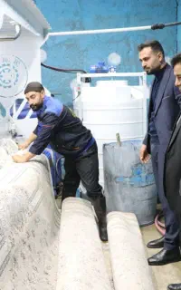 بهترین قالیشویی بجنورد ۱۰۰٪ ضمانت شستشوی مکانیزه
