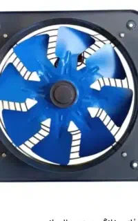 فن نو نو