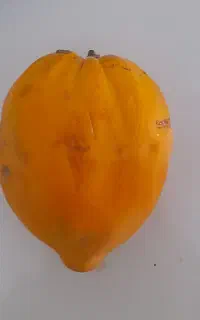 باغبونی