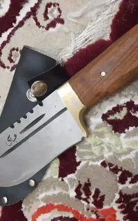 چاغو