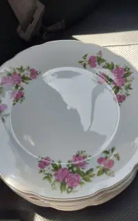 بشقاب گل سرخ تخت