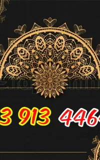 913.911119.0