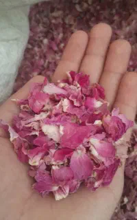 ادویه