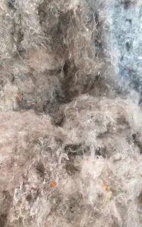 الیاف رنگی ارزان
