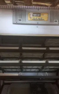 دستگاه جوجه کشی ۱۰۰۸تایی رضوانشهر