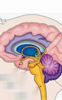 تجربه آرامشی شیرین