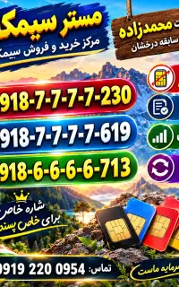 0918-6666-713