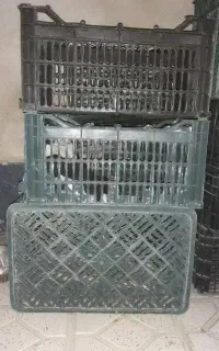 جبه گوجه