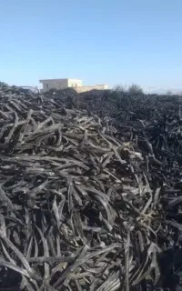 خرید تیپ کشاوزی چناران