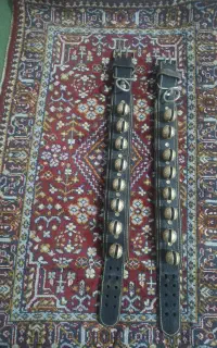 زنگوله.قرچه. قلاده سگ
