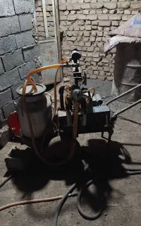 شیردوش گاو