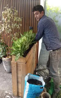 سمپاشی و باغبانی تضمینی تهران