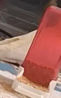 عروس هلندی گم شده