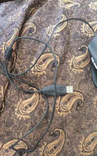 موس تسکو
