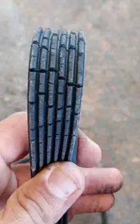 قفس جفت خوان