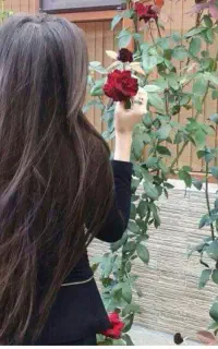 خریدارمو با بالاترین قیمت