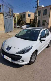207 پاناروما دنده 1405 صفر و خشک