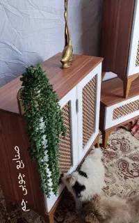 جاکفشی ، میز تلویزیون و کنسول