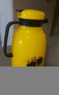 فلاکس سالم